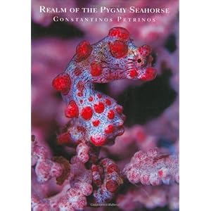 Realm of the Pygmy Seahorse: An Underwater Photography Adventure