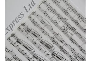 JACKDAW EXPRESS Vellum Printed Patterned Sheets 10 x 100gsm A4 19 Designs to Choose Cardmaking (Black Music Notes AM509)