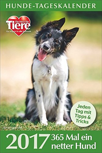 Hunde-Tageskalender 2017: 365 Mal ein netter Hund