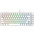 Cosmic Byte CB-GK-42 Phantom TKL Gasket Mechanical RGB Wired Keyboard, Pre-Lubed Outemu Red Switches, 1000Hz Polling, Software, Per-Key RGB, Swappable Switches, Volume Roller, USB C Port (White)