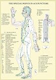 Image de Special Points in Acupunture - A4