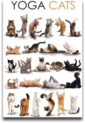 Yoga Cats Poses Poster Yoga Poses Art Print Kitten Yoga Poses Wall Paper