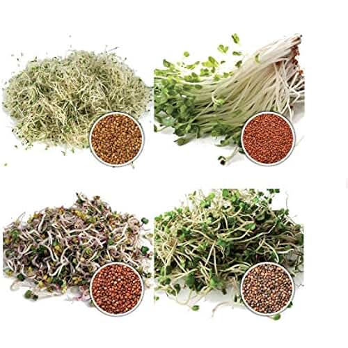 Suchergebnis auf Amazon.de für: Alfalfa Sprossen