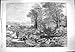 Produktbild 1861 SZENE NORTH COUNTRY RIVER BÄUME MAN JAGD LADY