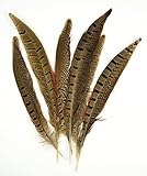 Lot De 10 Hat Feathers Plumes De Chapeau, Plumes Naturelles Paon, Plumes Colorées, Plumes Chapeau Cowboy Pour Chapeaux Cowboy Occidentaux, Chapeaux Fête Noël, Accessoires Plumes, Décorations DIY
