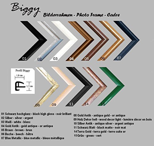 Biggy Kunststoff Bilderrahmen 36×100 cm 100×36 cm Farbwahl: hier Silber mit Acrylglas - 5