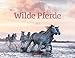 Wilde Pferde 2017 by Ackermann Kunstverlag