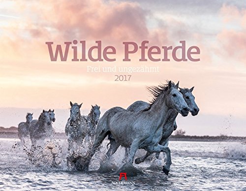 Wilde Pferde 2017