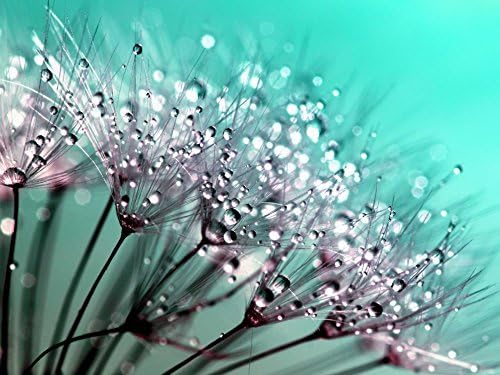 VERO PUZZLE 48123 Nature Flower, 2000 pieces in high quality, cellophaned puzzle box