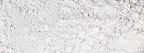 Diaguard® Frischwasser Kieselgur (Lebensmittelqualität) Nahrungsergänzungsmittel 500g - 2