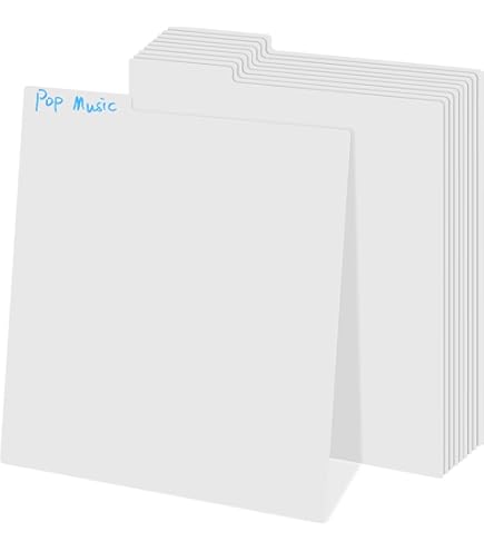 10 Séparateurs Pour Disques Vinyles Avec Onglets - Organisation Bibliothèque, Personnalisables