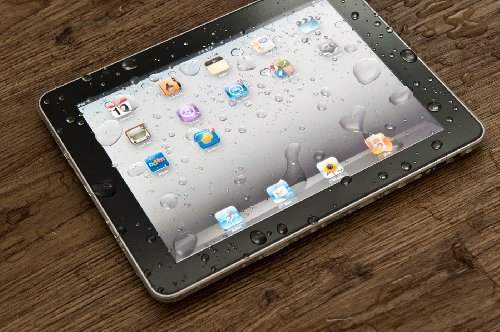 Imagen 5 de FROGSKIN Frog Skin iPad