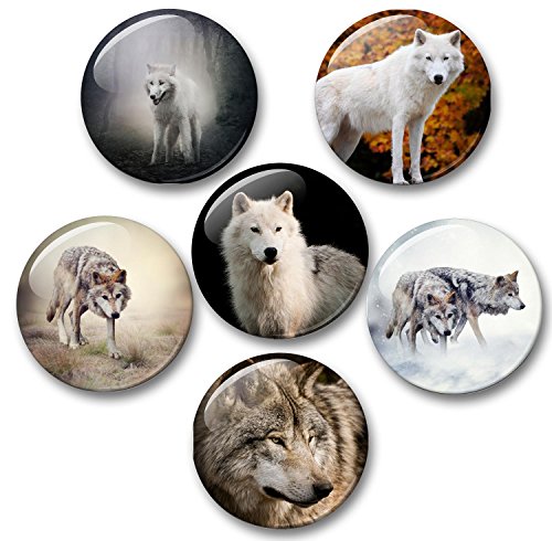 Wolf Wölfe Grauwolf europäischer Wolf - 6 große Kühlschrankmagnete Ø 5 cm [ 02 ] für Memoboard Pinnwand Magnettafel Whiteboard