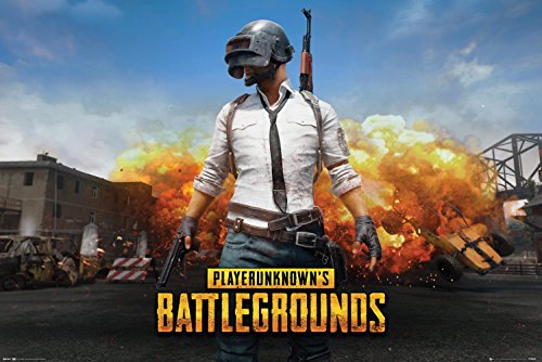 Preisvergleich Produktbild Player Unknown's Battlegrounds Poster Playerunknown