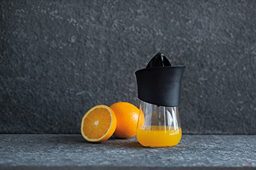 XD Design P261.181 Press Handsaftpresse mit 2 Aufsätzen und Glaskaraffe - 12