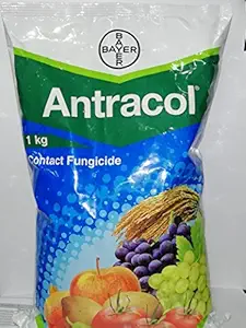 ANTRACOL 1KG(BAYER) CONTACT FUNGICIDE Propineb 70WP