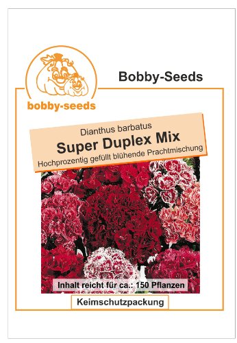 Bobby-Seeds Blumensamen 2-jährig Bartnelke, Gefüllte Prachtmischung Duplex Portion - 2