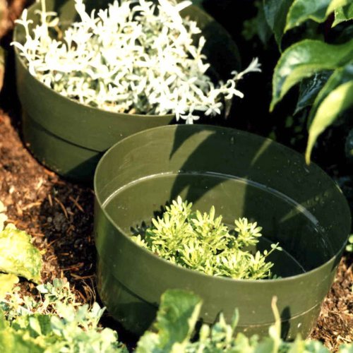 AQUARING 10-er Set, Ø 20 cm grün - 2