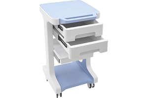 Laboratorievagn medicinbil med 2 lådor, mobil kosmetisk vagn av ABS, arbetsvagn förvaringsvagn med 4 rullar, medicinsk vagn för laboratorium, kosmetika, salong, lastkapacitet 50 kg