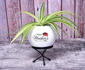 HINS 7 Inch Happy Mother Day Print Polka Metal Round Shape Flower Plant Pot With Stand Metal Pots For Indoor Plants I Elevated Garden Planter I Raised Planter I Desk Plant I Raised Planter Box I Ascent Homes Metal Planter I Raised Planter Box With Legs I Brass Pots For Indoor Plants I Golden Planter I Mid Century Plant Stand I Brass Planters For Indoor Plants I Indoor Plant Stand For Living Room I Metal Planters Pot For Indoor Plants designer pots for indoor pl