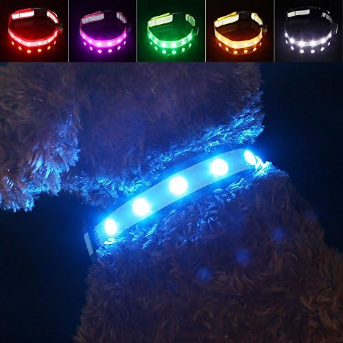 Pawow LED Safety Dog Collar, Flashing Light Up Night Safety Collar USB Rechargeable Waterproof Adjustable for Dogs (Blue, Medium)