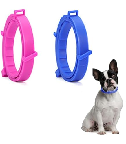 Collier Anti Puces Pour Chien, Colliers De Puces Pour Chiens