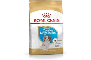 Royal Canin Cavalier King Charles Puppy | 1,5 kg | Croquettes pour Chiots | Peut Soutenir Les défenses Naturelles et la santé Cardiaque | Peut favoriser la Digestion