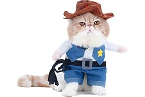 DELIFUR Costumes Noël pour Chien ou Chat Cowboy avec Chapeau