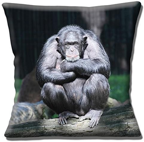 Novelty Chimpanzee Chimp Thoughtful Sitting on Rock Photo Print - 16" (40cm) Pillow Cushion Cover