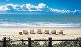 Image de Living in Bahia