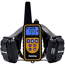 collar adiestramiento amazon