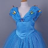 JerrisApparel Aschenputtel Kleid Prinzessin Kostüm Schmetterling Mädchen (150, Blau) -