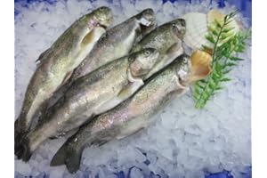 IHR FACHGESCHÄFT KLAASSEN Klaassen Forellen, zum selber Räuchern, fertig gesalzen, 500g