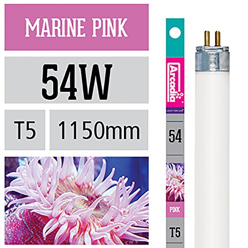 Preisvergleich Produktbild Arcadia Marine Pink 54 Watt Lampe T5 TL5 Aquarium Meerwasser Leuchtstofflampe