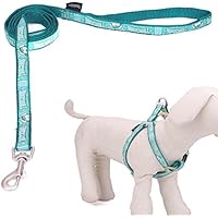 [Gesponsert]Touchdog Hundeleine Hundegeschirr aus Nylon verstellbar ohne Zugkraft für kleinere und mittelgrößere Hunde