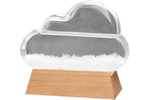 TIOODRE Storm Glass Weather Station,Cloud Glass Weather Forecaster Barometer Weather Forecast Bottle Weather Predictor, Creative Desktop Decorative- Unique Gifts for Mother Women Men