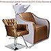 Hair Washing Salon Chair Armchair Salon Hairdressing Salon 253149 Bronze Silver