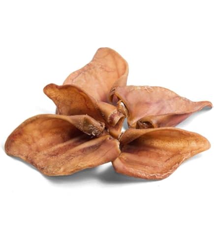 12 Orecchie Di Maiale Essiccate Per Cani - Snack Naturale Per La Pulizia Dei Denti - Foto 6