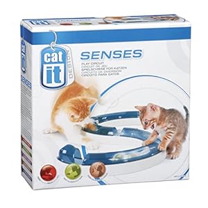 Hagen Catit Design Senses Play Circuit
