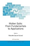  Molten Salts: From Fundamentals to Applications (Nato Science Series II: Book 52) (English Edition)