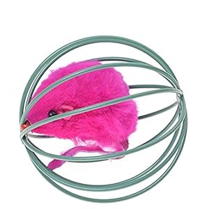 Runfon Juguete ratón para Gato con Jaula Juguete Gato interactiva Juguete Juego Gato