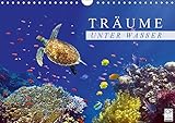 Träume unter Wasser (Wandkalender 2016 DIN A4 quer): Eindrücke aus der Unterwasserwelt (Monatskalender, 14 Seiten) (CALVENDO Tiere) by 