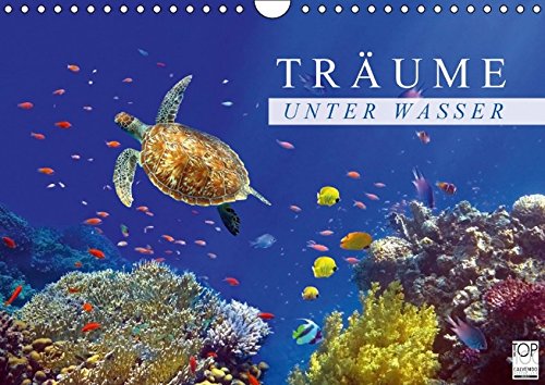 Träume unter Wasser (Wandkalender 2016 DIN A4 quer): Eindrücke aus der Unterwasserwelt (Monatskalender, 14 Seiten) (CALVENDO Tiere)
