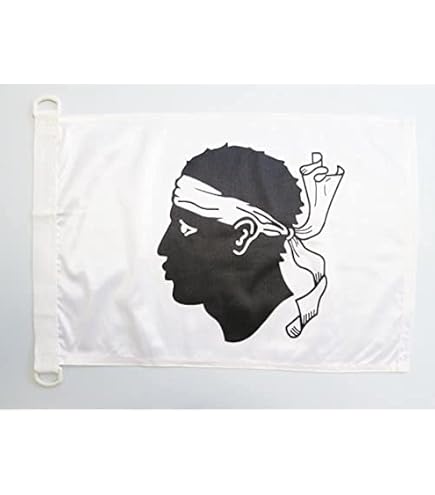 Drapeau Brest 45x30cm - Pavillon Nautique Bretagne Avec Anneaux - AZ FLAG