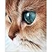 Produktbild DIY 5D Diamond Painting by Number Kits, Full Drill Crystal Rhinestone Embroidery Pictures Arts Craft for Home Wall Decor Gift,Green-eyed Cat Head