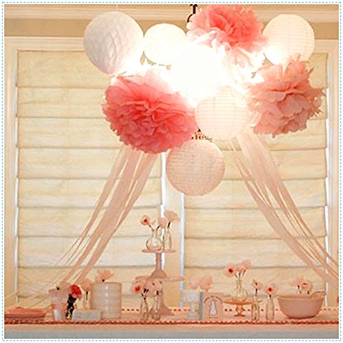 MOONPOP DIY Pom Poms Deko 9 Set – Inhalt 3x Paper Flower Ball 10“, 3x weiße Laternen 10“ und 3x weiße Wabenbälle 8“ für Hochzeit Geburtstag Party Hause Deko (Pink Serie) - 6
