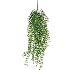 Produktbild MICA Decorations Ficus Haengend gruen-l81cm Kunstpflanze, Plastik, grün, 81 x 20 x 20 cm, 6-Einheiten