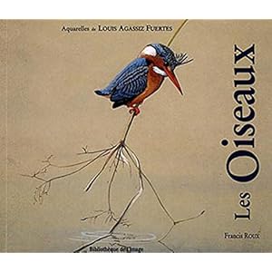 Les Oiseaux, Fuertes Livre en Ligne Les Oiseaux, Fuertes Livre en Ligne - Telecharger Ebook