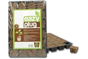 Eazy Plug Tray mit 24 Stück