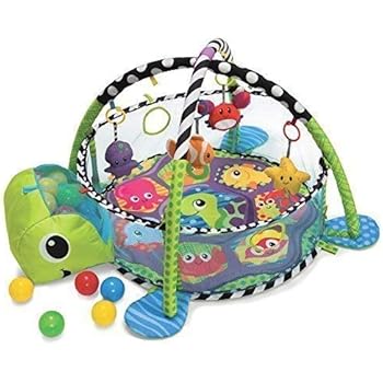 grow with me playtime teepee gym